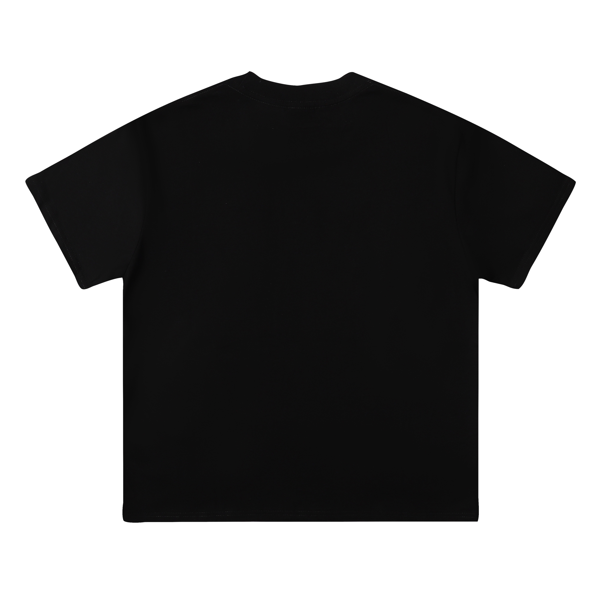 ステューシーtシャツ値段偽物 トップス 純綿 短袖 ロゴプリント 激安品 ファッション 大人気 2色可選_5